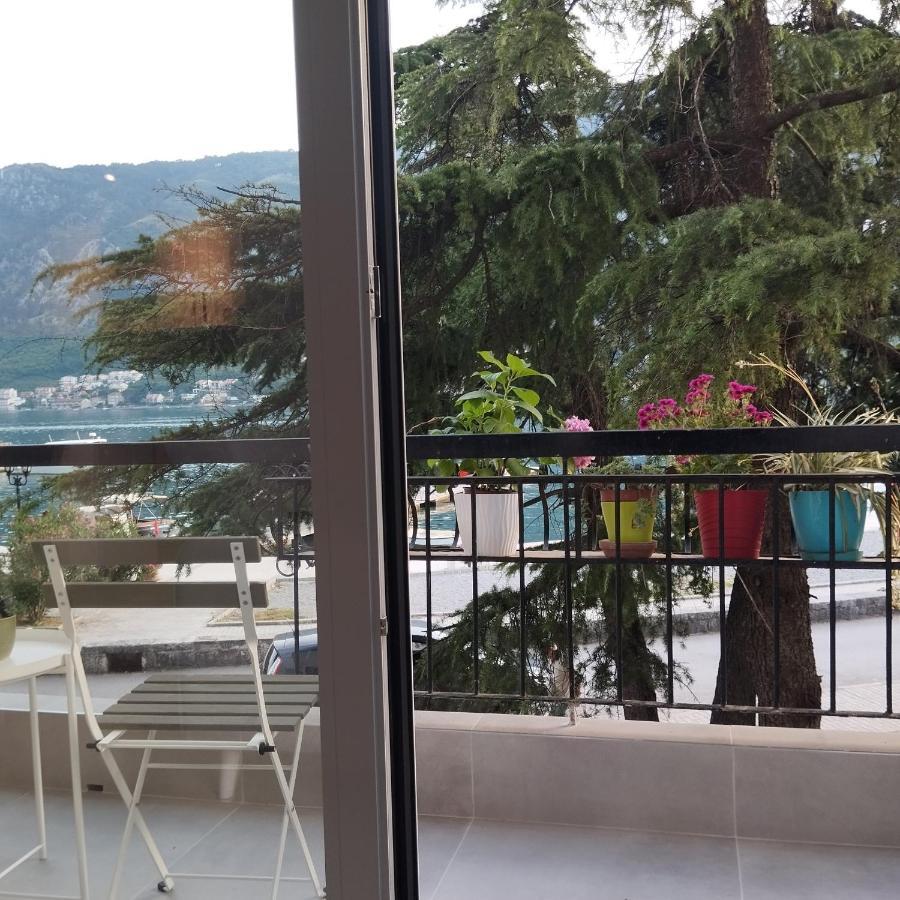 Apartman Lubarda Apartment Kotor Ngoại thất bức ảnh